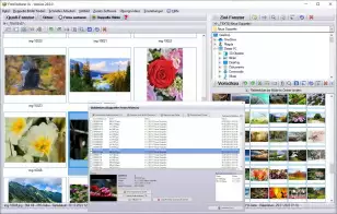 Doppelte Bilder finden und lschen bestes Programm