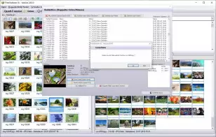 Doppelte Bilder finden Windows 10