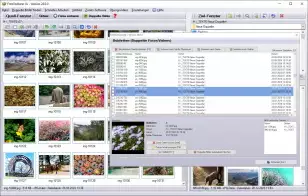 Doppelte Bilder finden Windows