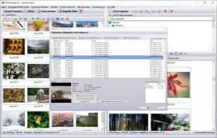 Doppelte Fotos finden Windows 11