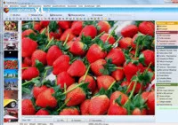 Bildbearbeitungsprogramm für Windows 7 kostenlos