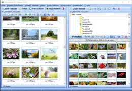 Bilder sortieren Programm