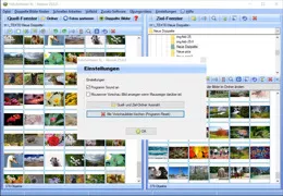 Fotos Sortieren PC