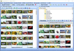 Fotos sortieren Windows 11