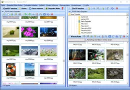 Programm Fotos sortieren