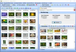 Programm zum Bilder sortieren