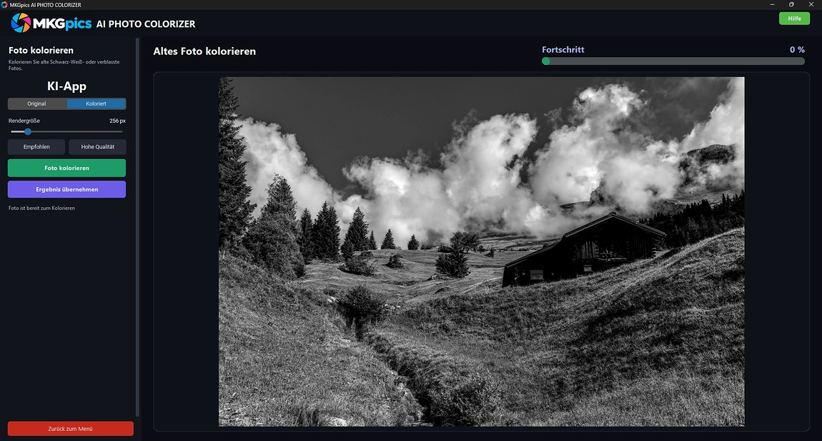 Alte Fotos kolorieren mit KI Screenshot