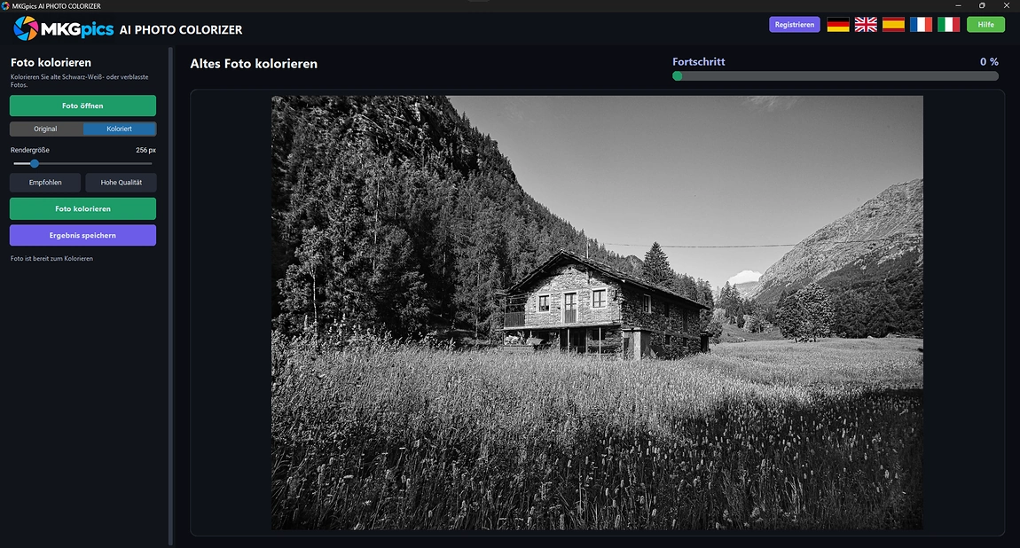 Schwarz Weiß Fotos einfärben KI Screenshot
