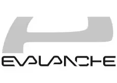 Evalanche Newsletter Programm