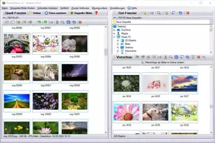 Bilder sortieren Programm