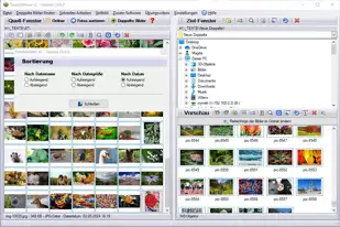Fotos auf PC sortieren