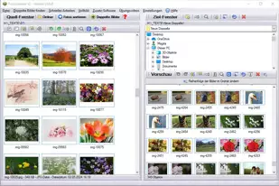 Software Fotos sortieren